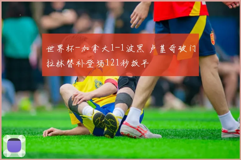 世界杯-加拿大1-1波黑 卢基奇破门拉林替补登场121秒扳平