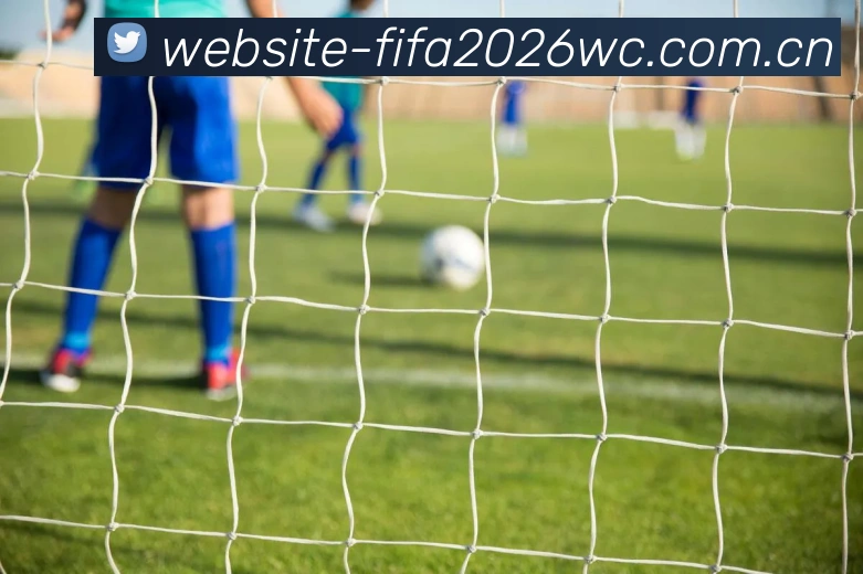 FIFA官方认证